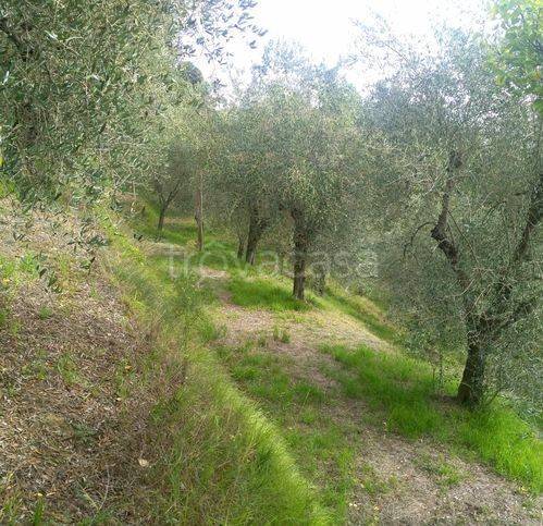 immagine annuncio 3 di 7