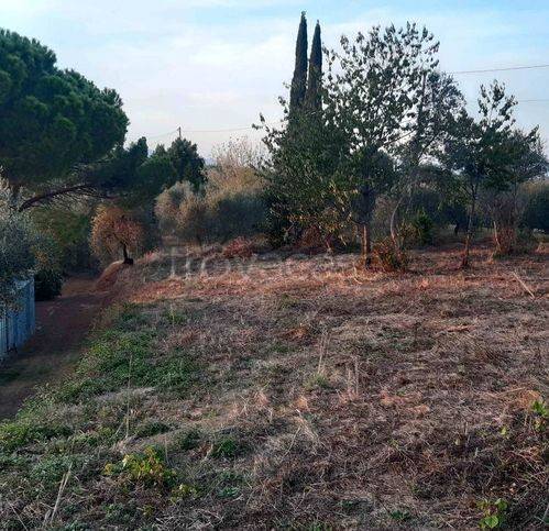 immagine annuncio 2 di 7