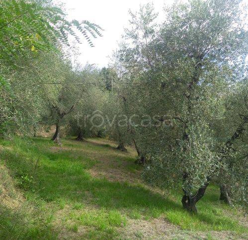 immagine annuncio 4 di 7