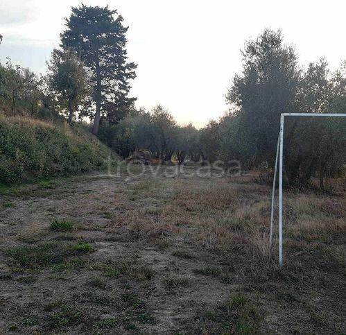 immagine annuncio 3 di 7