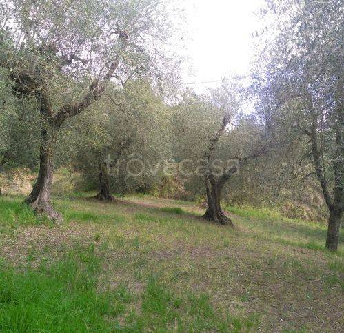 immagine annuncio 5 di 7