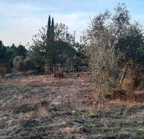 immagine annuncio 4 di 7