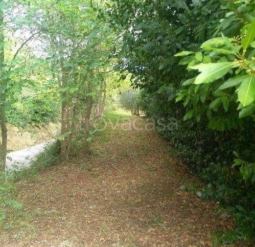 immagine annuncio 6 di 7