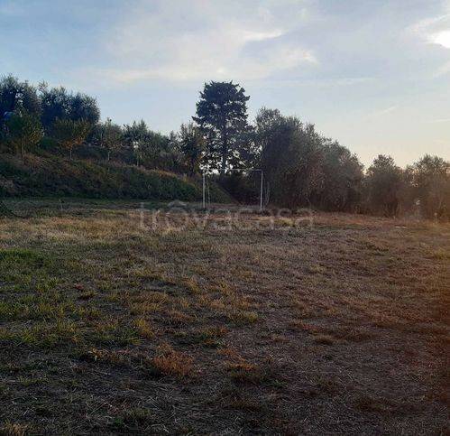 immagine annuncio 5 di 7