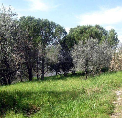 immagine annuncio 1 di 7