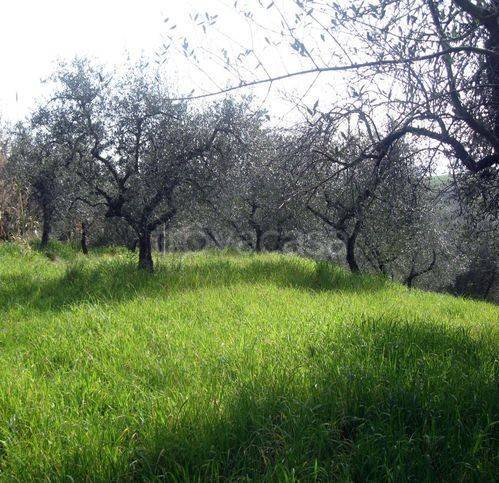 immagine annuncio 4 di 7