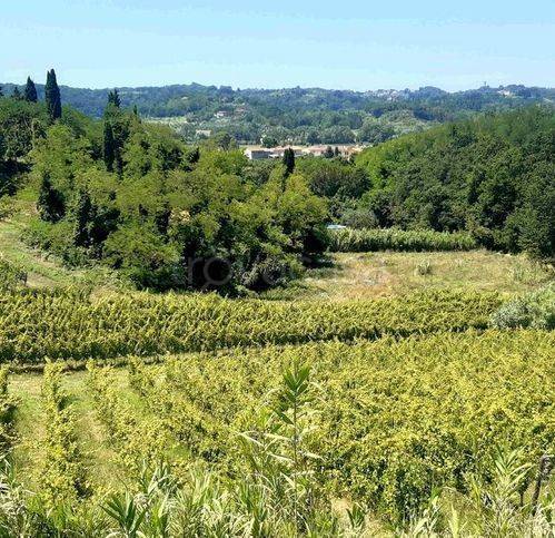 immagine annuncio 4 di 13