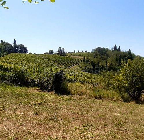 immagine annuncio 11 di 13