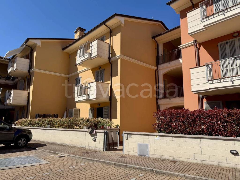 immagine annuncio 14 di 15