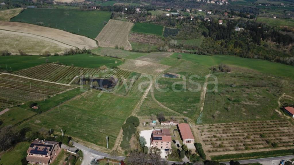 immagine annuncio 7 di 9