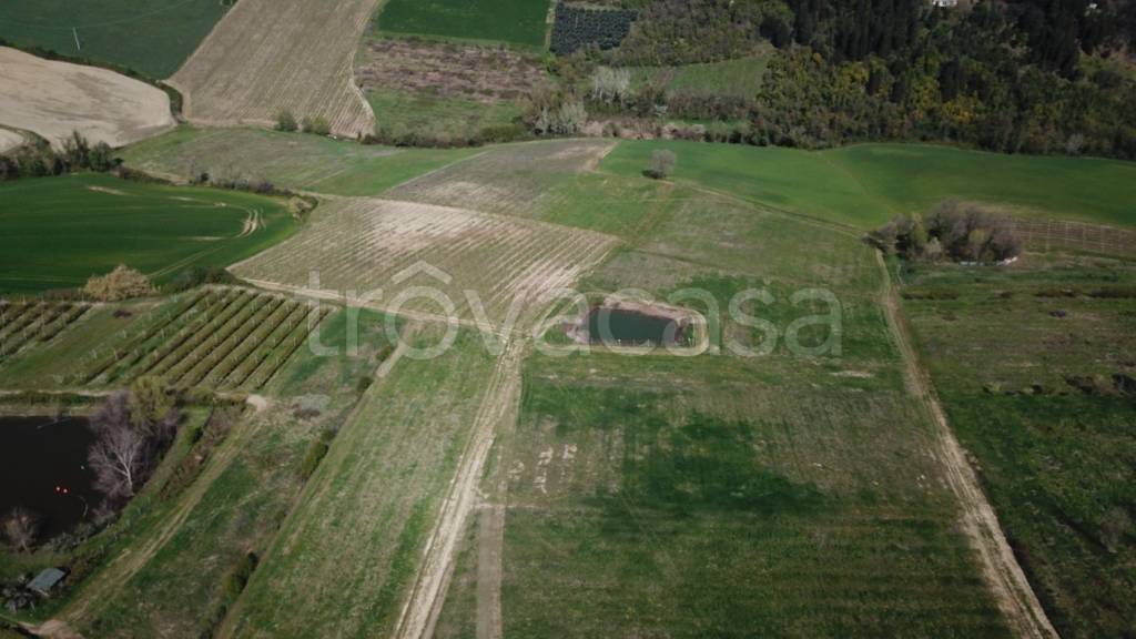 immagine annuncio 8 di 9