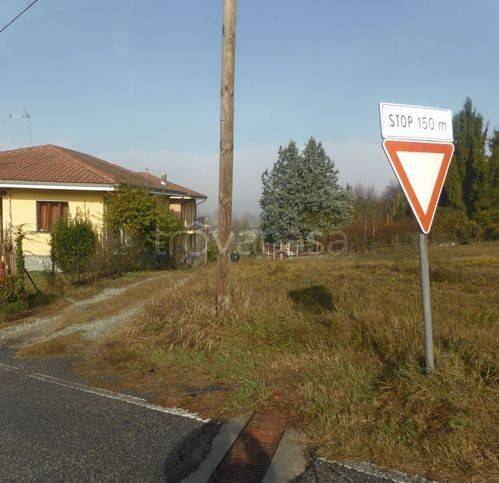 immagine annuncio 5 di 6