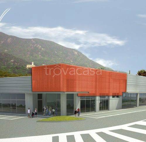 immagine annuncio 2 di 10