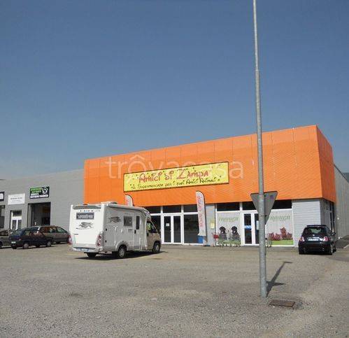 immagine annuncio 4 di 10