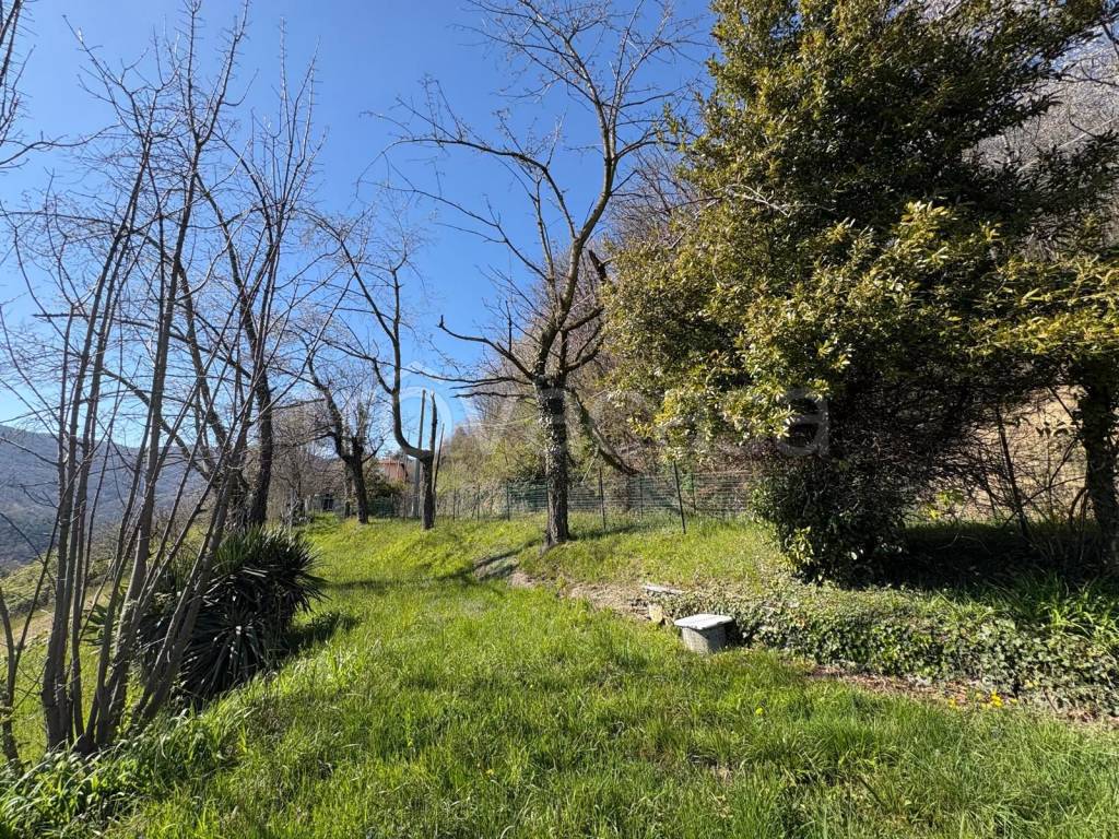 immagine annuncio 2 di 6