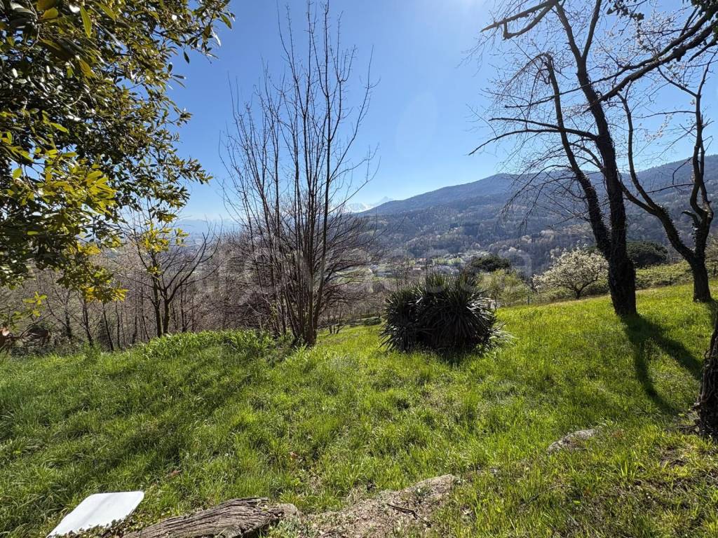 immagine annuncio 3 di 6