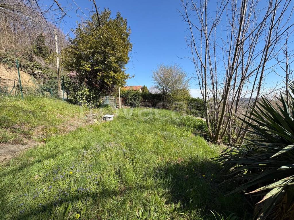 immagine annuncio 4 di 6