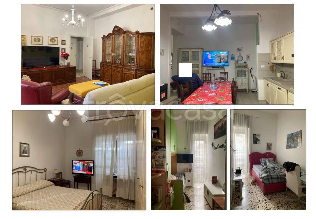 immagine annuncio 12 di 14