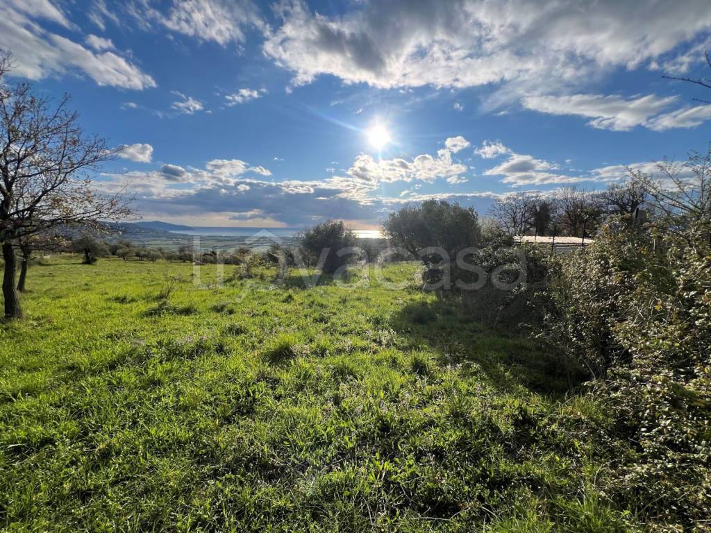 immagine annuncio 2 di 8