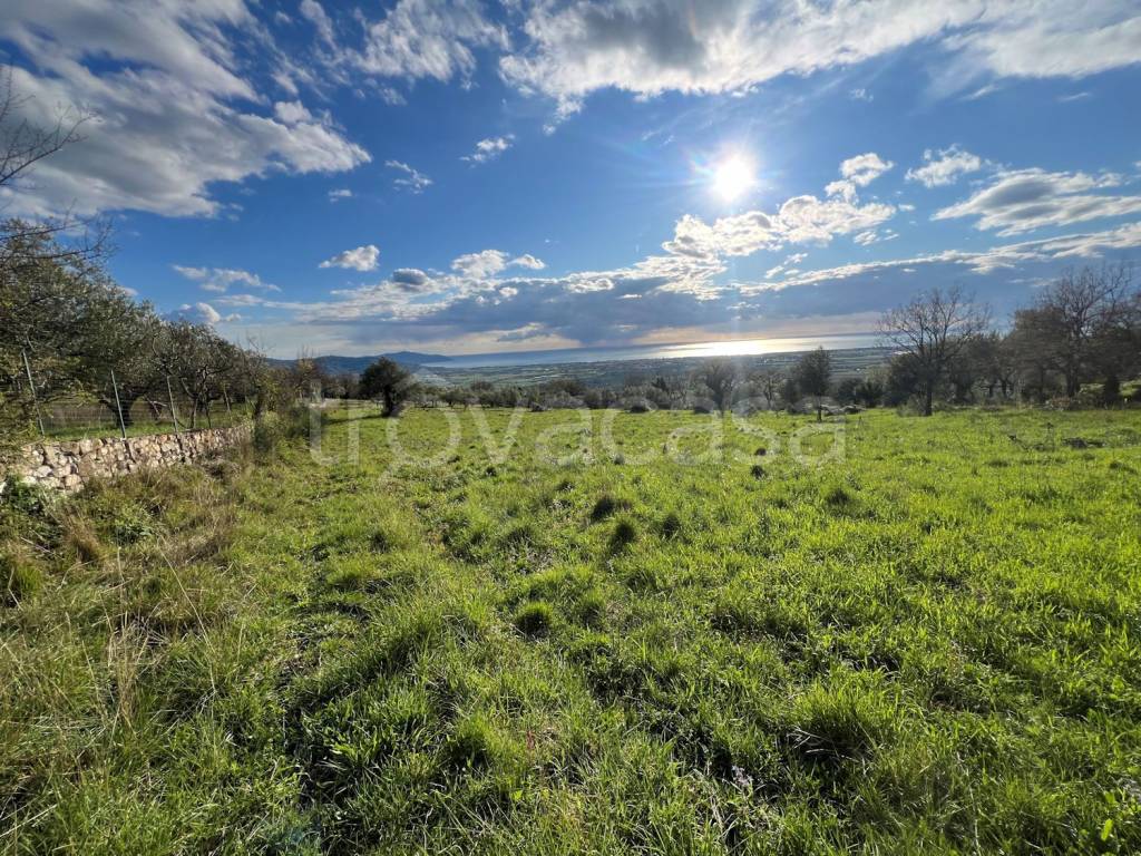 immagine annuncio 3 di 8