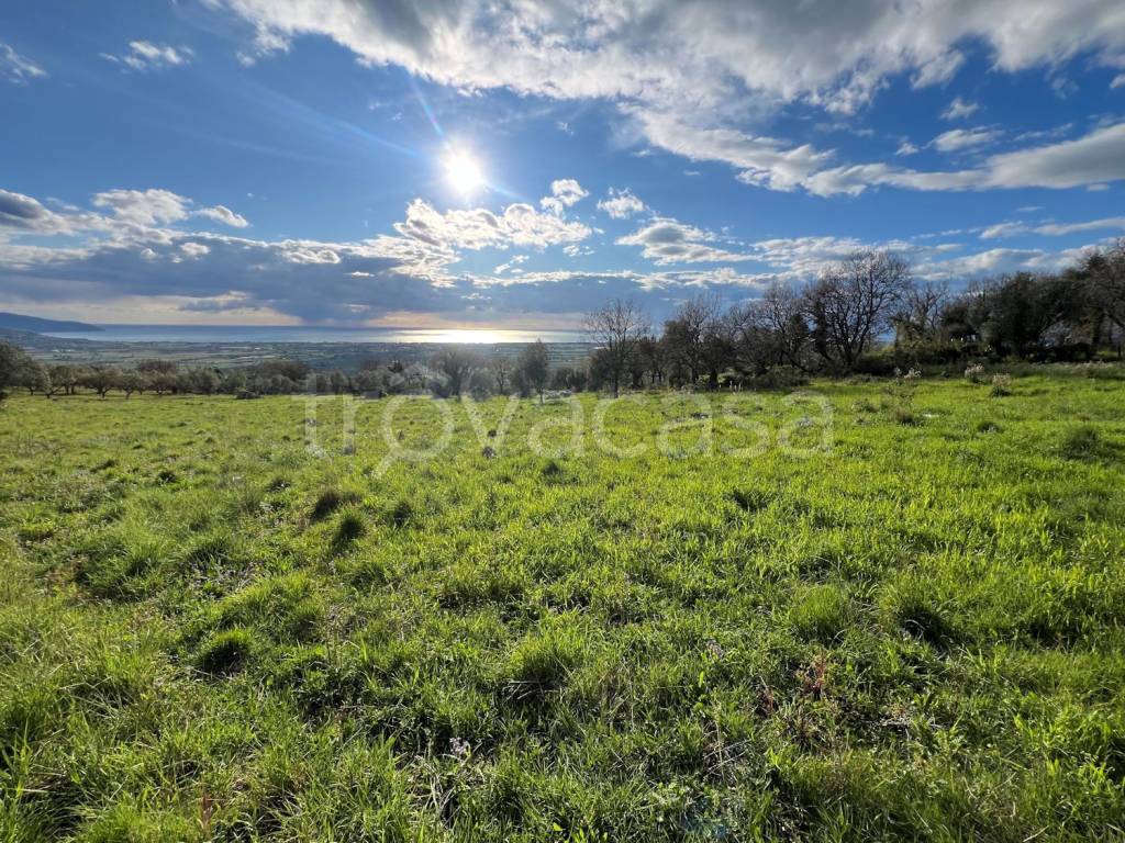 immagine annuncio 4 di 8