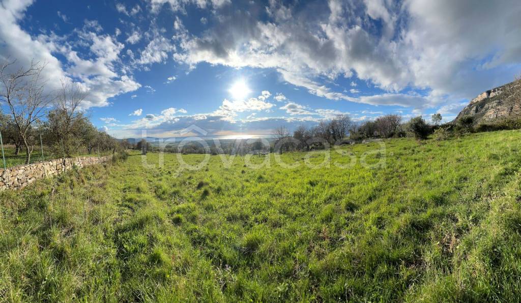 immagine annuncio 5 di 8