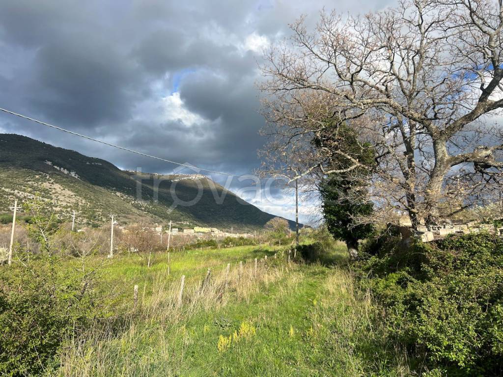 immagine annuncio 6 di 8