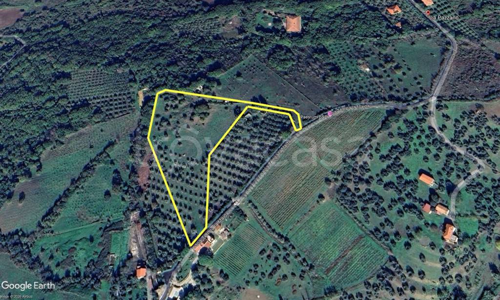 immagine annuncio 7 di 8