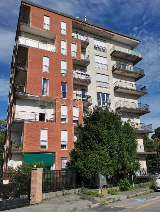 immagine annuncio 1 di 13