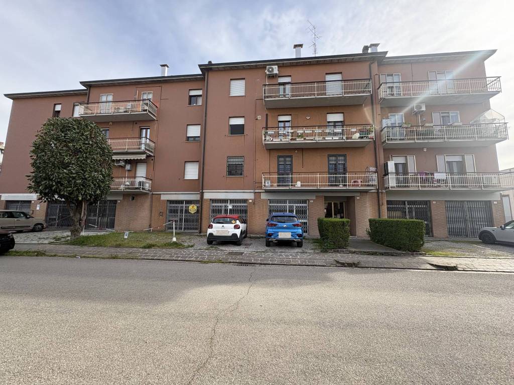 immagine annuncio 12 di 13