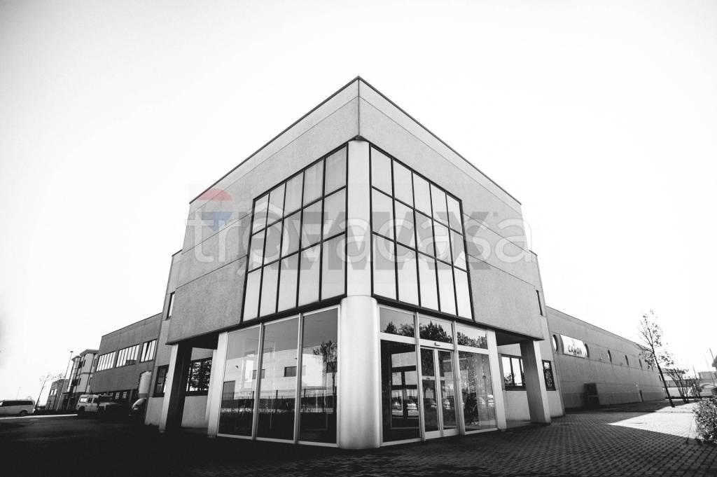 immagine annuncio 1 di 9