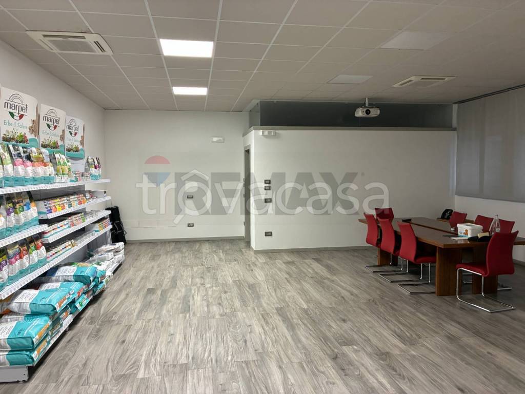 immagine annuncio 3 di 14