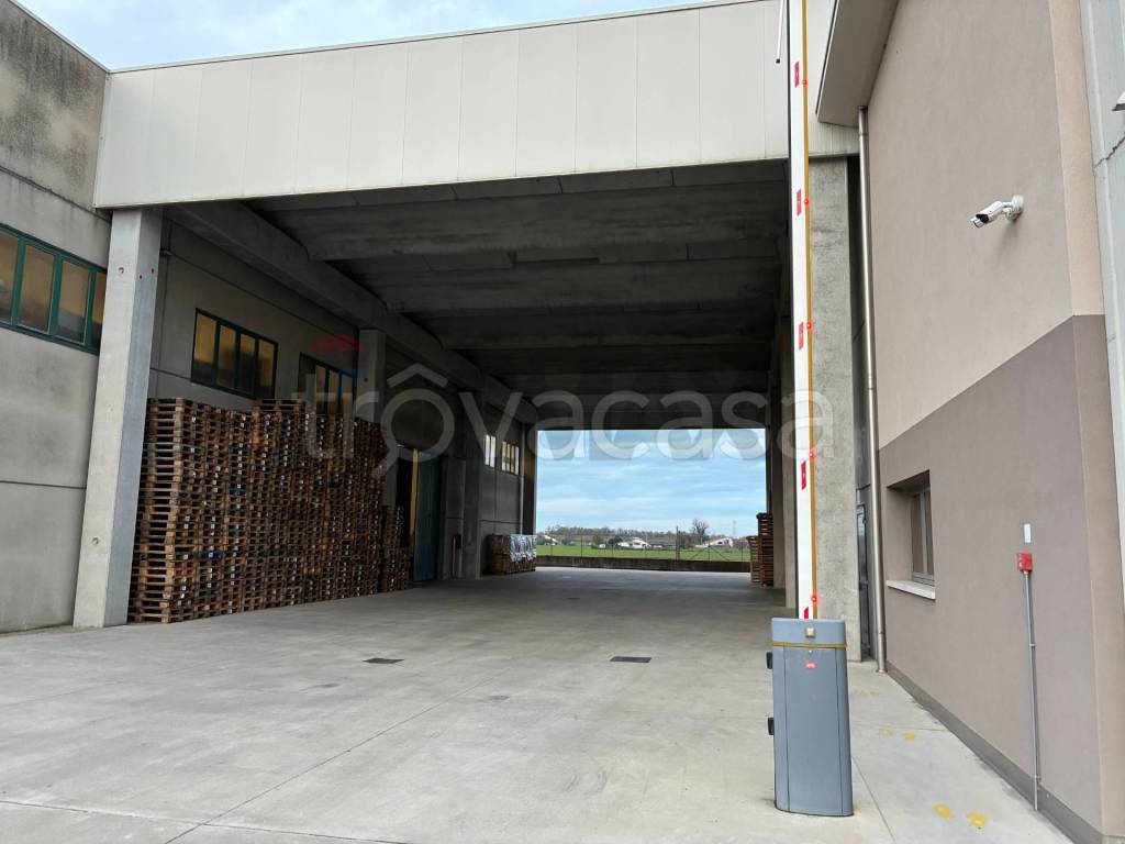 immagine annuncio 4 di 14