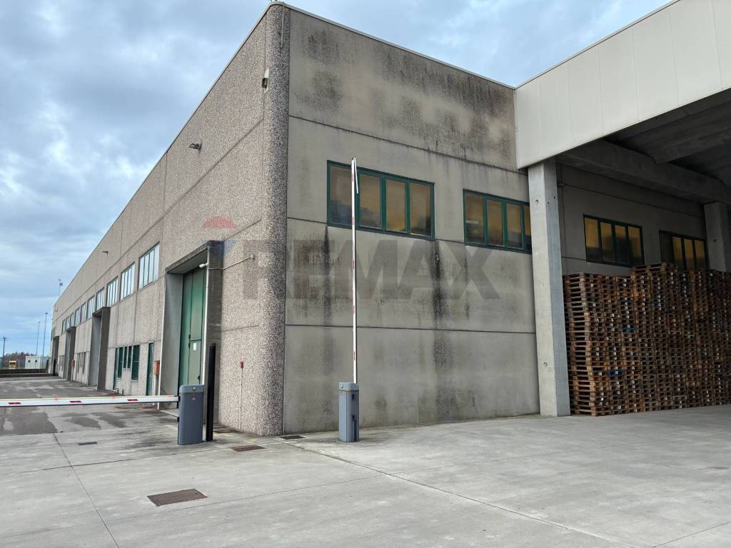 immagine annuncio 9 di 14