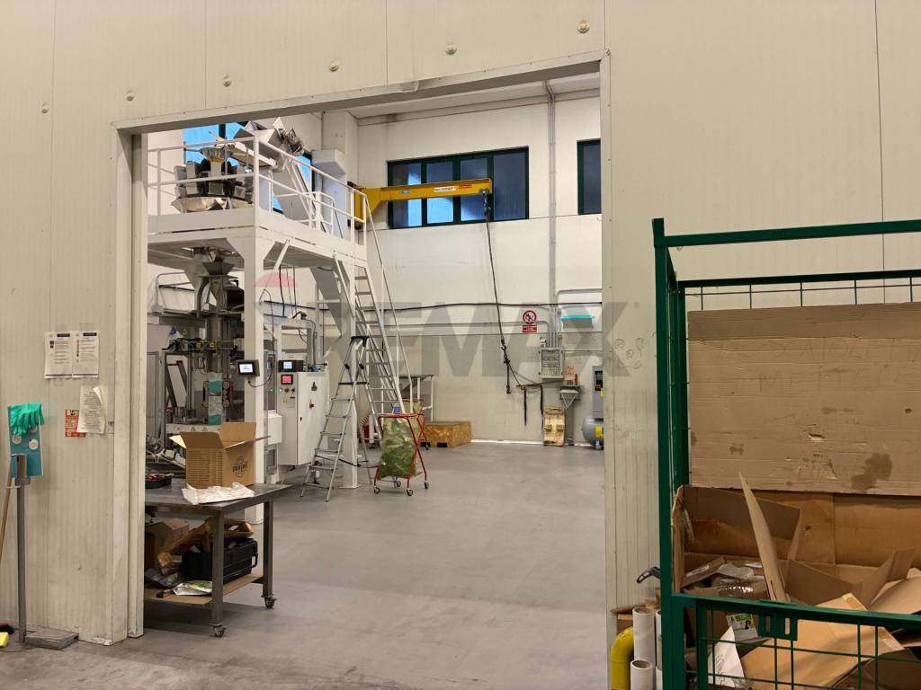 immagine annuncio 10 di 14