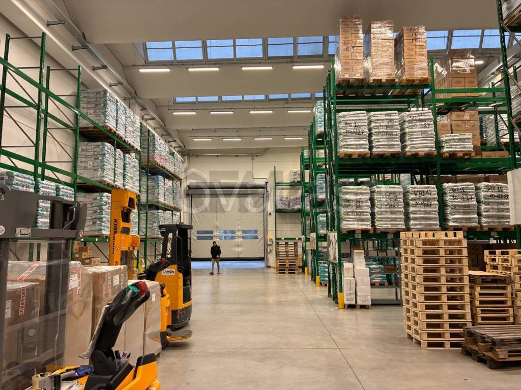 immagine annuncio 11 di 14