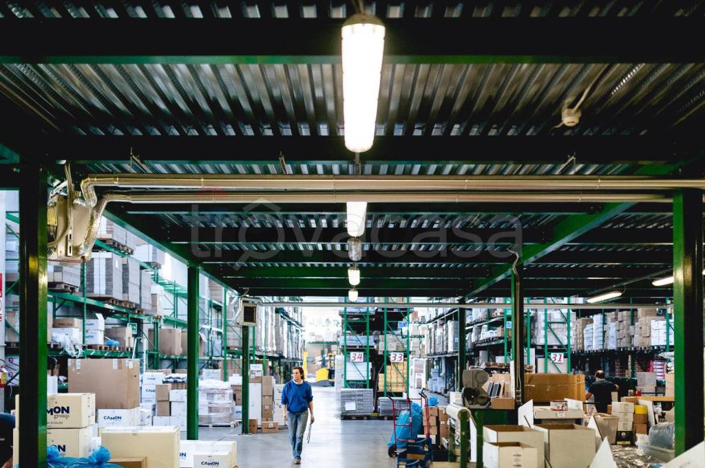 immagine annuncio 4 di 9