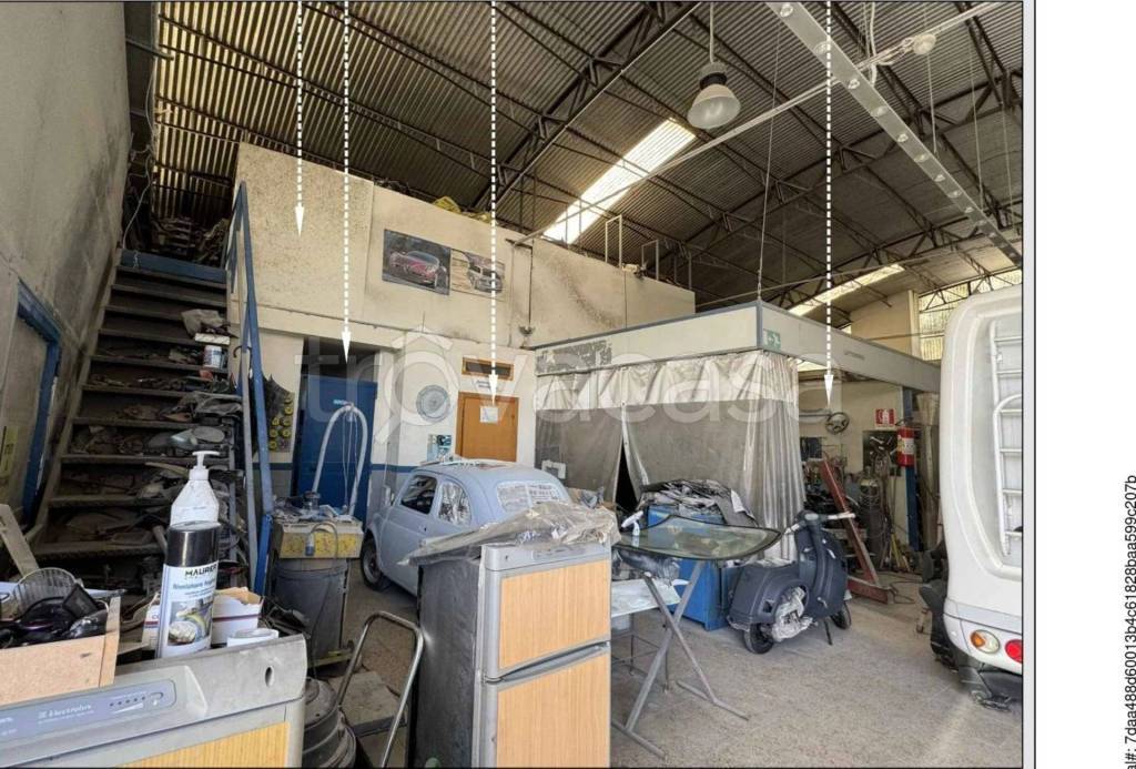 immagine annuncio 9 di 15