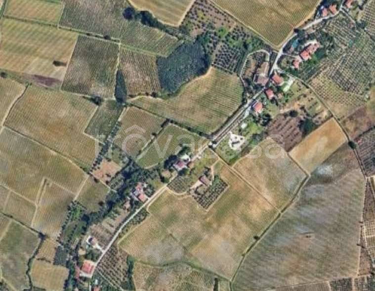 immagine annuncio 4 di 7