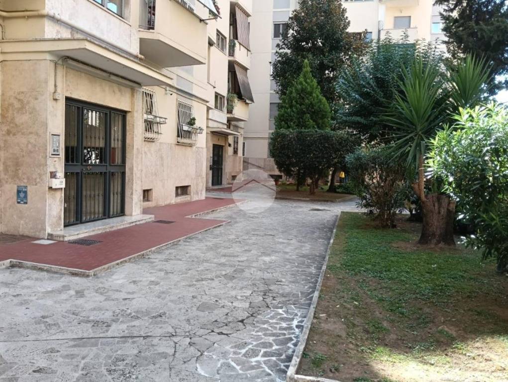 immagine annuncio 1 di 3