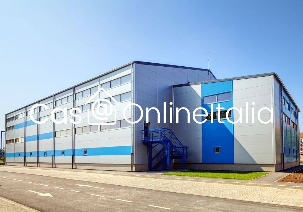 immagine annuncio 9 di 15