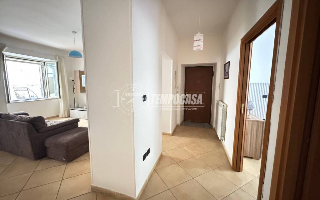 immagine annuncio 12 di 14