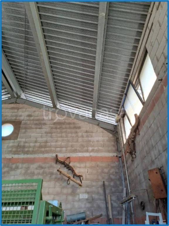 immagine annuncio 3 di 9