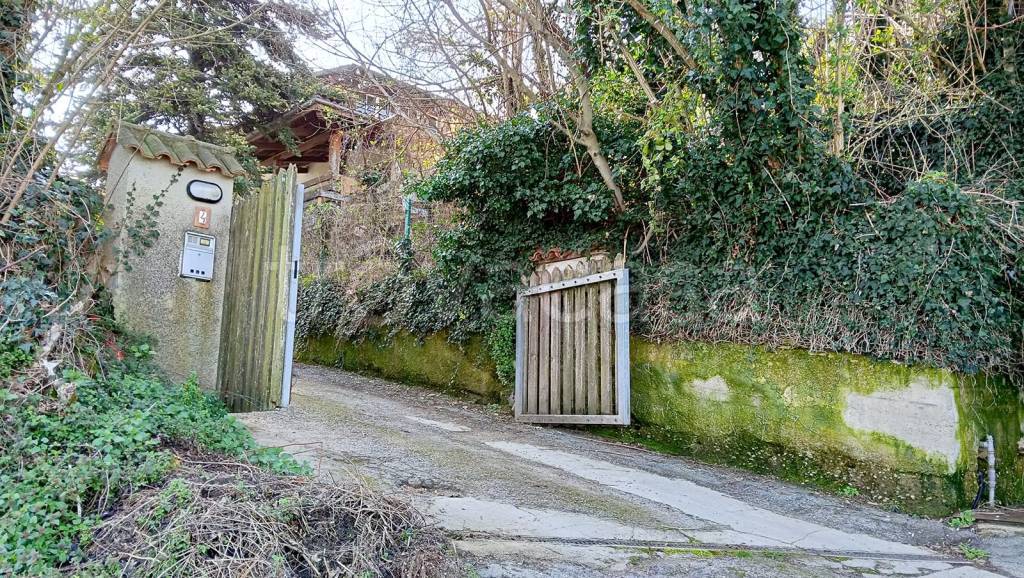 immagine annuncio 3 di 7