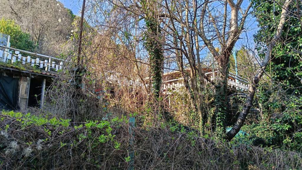 immagine annuncio 5 di 7