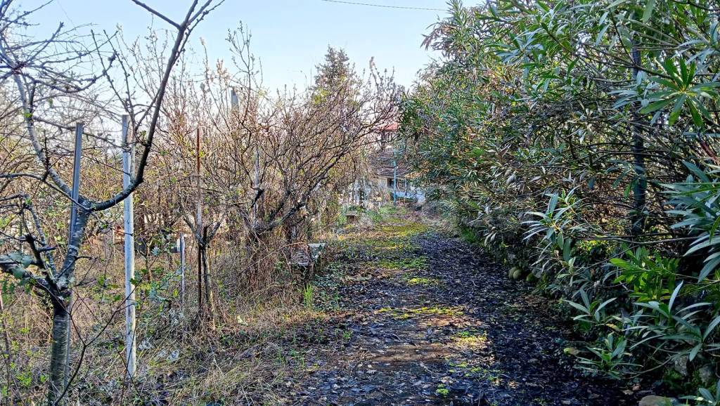 immagine annuncio 6 di 7