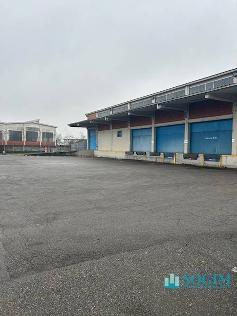 immagine annuncio 1 di 14