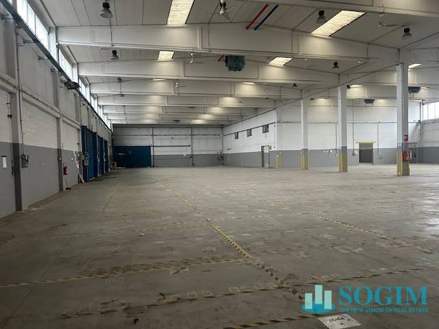 immagine annuncio 9 di 14