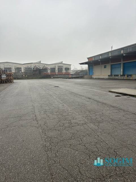 immagine annuncio 10 di 14