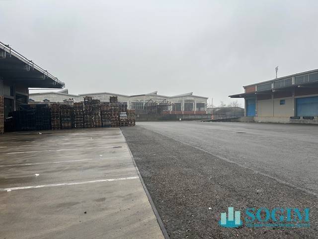 immagine annuncio 11 di 14